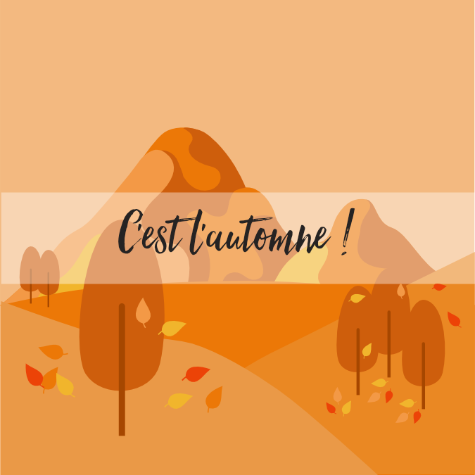 visuel-cat-saisons-automne